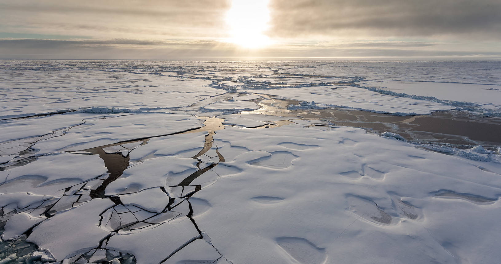 Arktisches Meereis. 

Arctic sea ice.